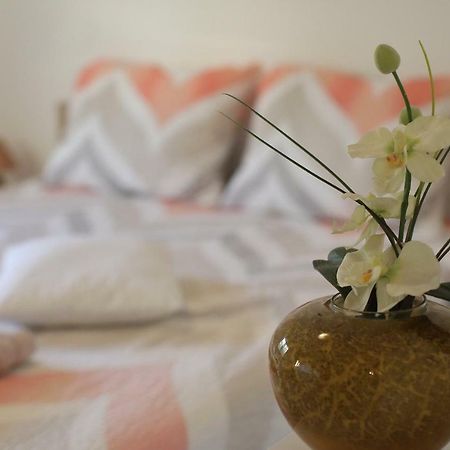 Apartment Palma Bibinje Zewnętrze zdjęcie