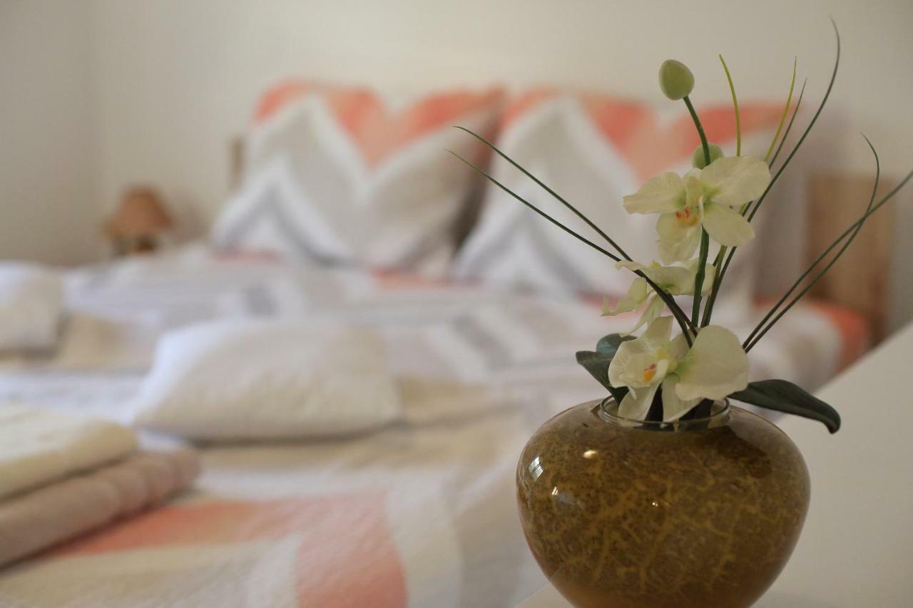 Apartment Palma Bibinje Zewnętrze zdjęcie