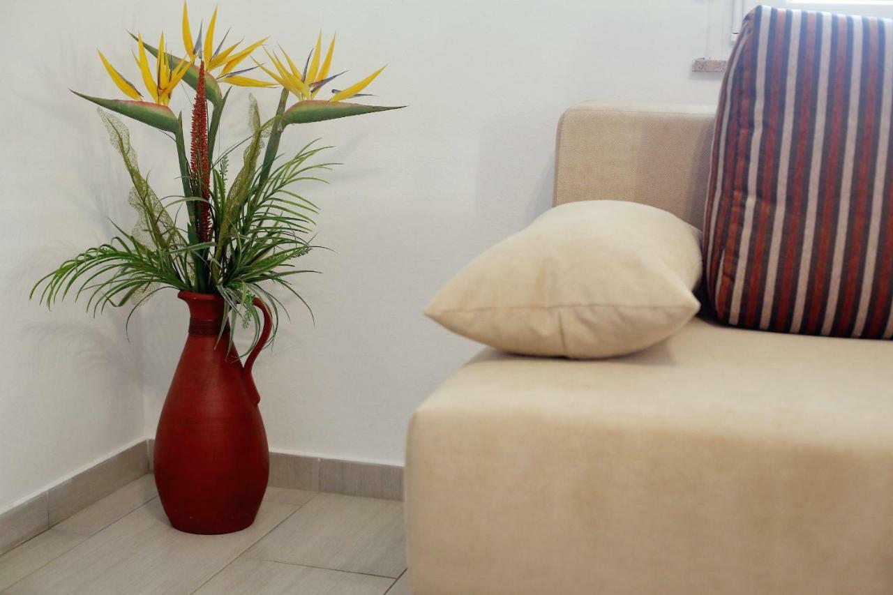 Apartment Palma Bibinje Zewnętrze zdjęcie